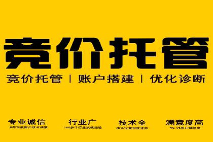 SEM竞价开户实战技巧：案例教学与解析